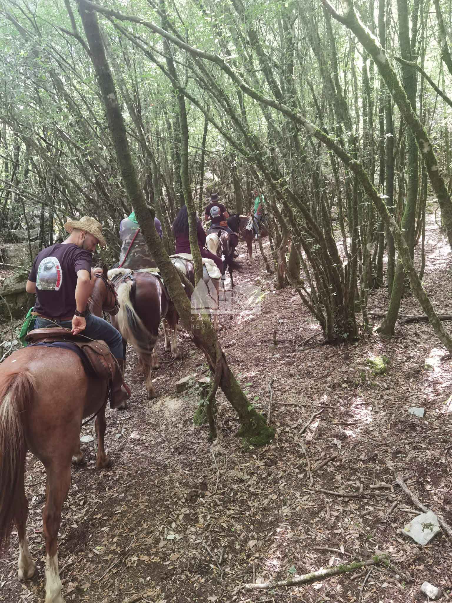 A cavallo — Tappa 1: Stazione FS – Priverno – Roccagorga