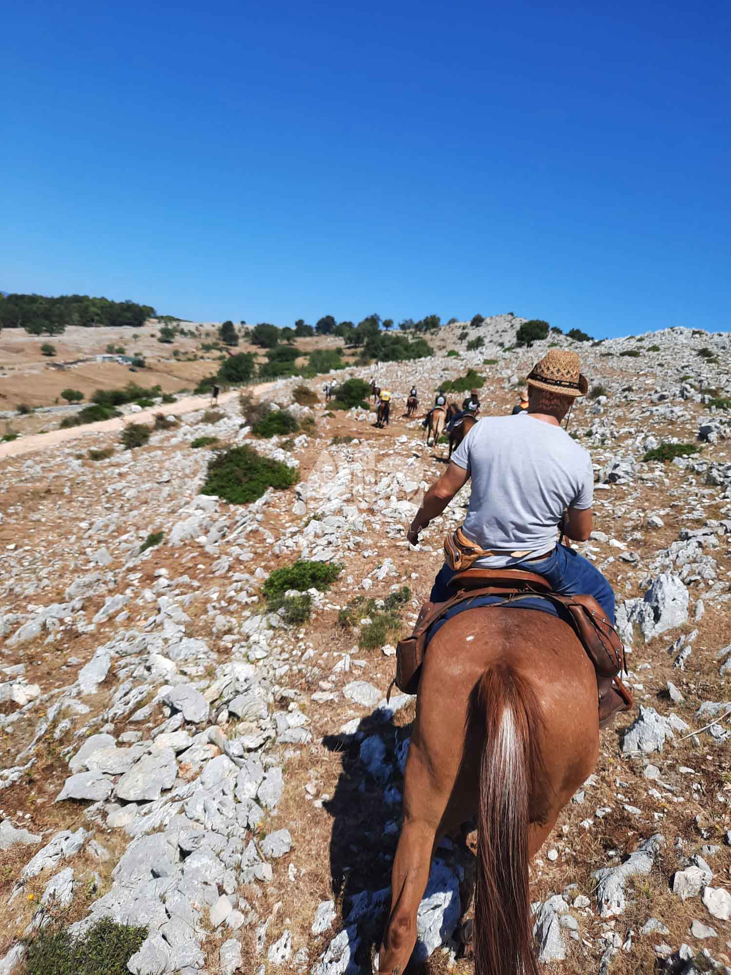A cavallo — Tappa 8: Roccasecca dei Volsci – Sonnino